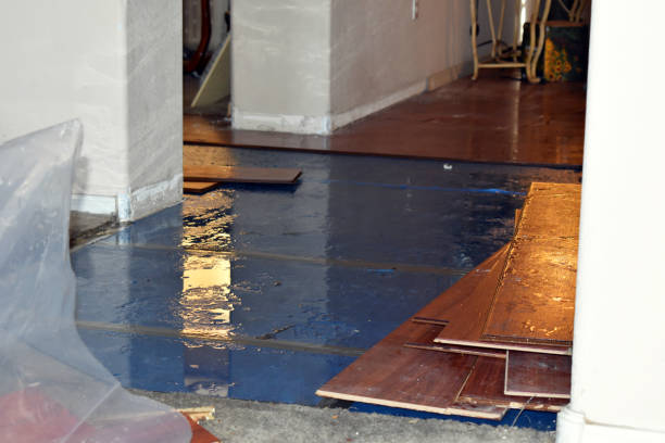 Professional Basement Flood Cleanup technician working in Washington, NE